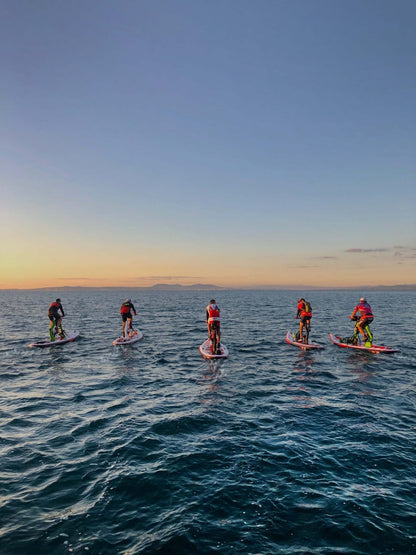 Group paddleboarding workout on open water at sunset with Red Shark Fitness equipment.