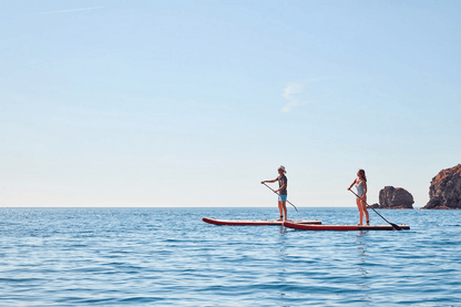 Two people paddleboarding on the ocean with Red Shark SUP kits, enjoying a clear blue sky and calm seas.