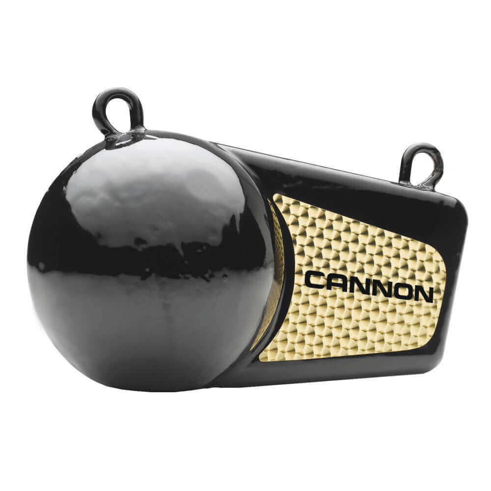 Cannon 4lb Flash Weight [2295002] - wetsquad