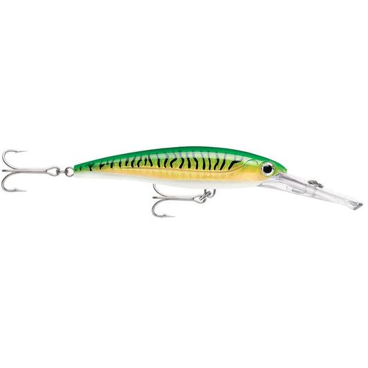 Rapala X-Rap Magnum 20 Gold Green Mackerel [XRMAG20GGM] - wetsquad